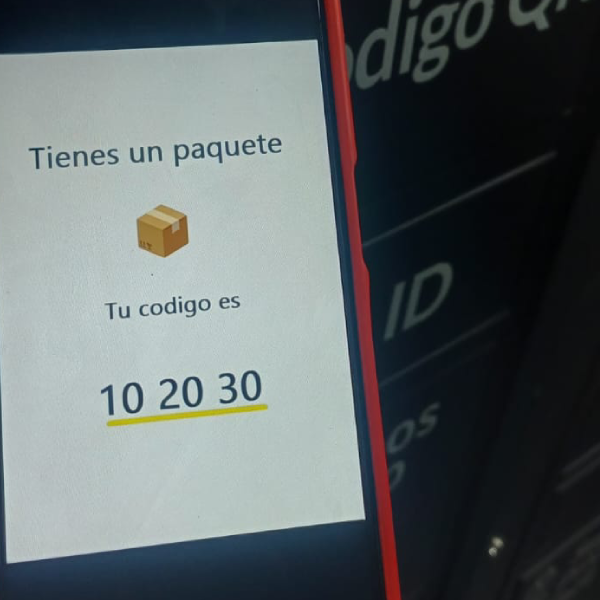 estructura de casillero para paquetes con múltiples compartimentos